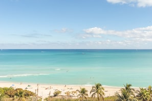 Beach/ocean view