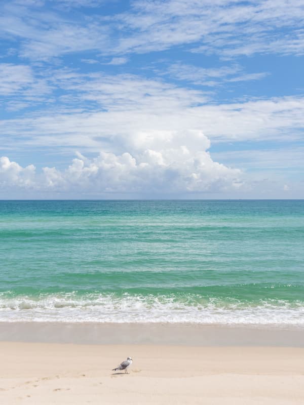 On the beach
