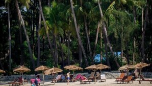 A beach with palm trees, sun loungers, and thatched umbrellas.