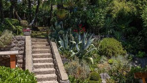 A stone staircase leading up to a garden area with various plants and a bench. - Holiday home 80 m from the sea (Crikvenica)