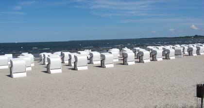 Ferienhaus Kirschblüte - Ferienhaus Kirschblüte