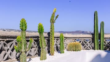Jardín