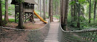 Appartement côté Est - Appartement Engelhirsch