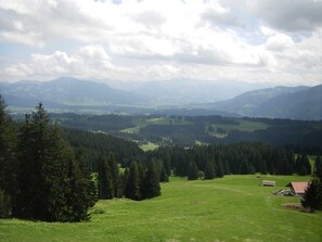 Immagine non classificata, 4 di 74, pulsante