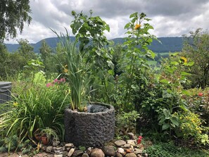 Unclassified image, 5 of 74, button