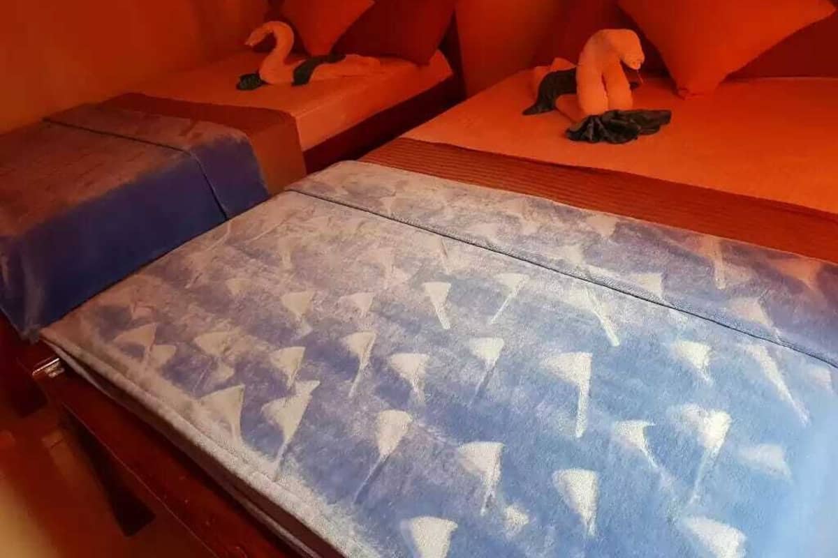 A room with two beds, each with a distinct patterned bedspread.