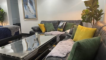 Televisión, chimenea, reproductor de DVD y videoteca