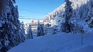 Mountain view - HOTEL SHIMLA HILLS INTERNATIONAL (Theog)