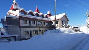 Front of property - HOTEL SHIMLA HILLS INTERNATIONAL (Theog)
