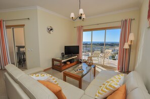 تلفزيون، مشغل دي في دي