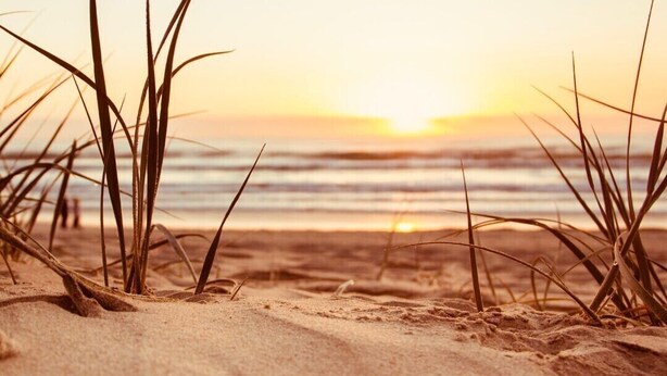 A beach scene with sand and grass in the foreground, and a sunset in the background.