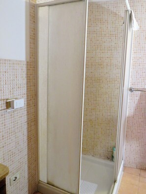 A bathroom with a shower area, tiled walls, and a toilet.