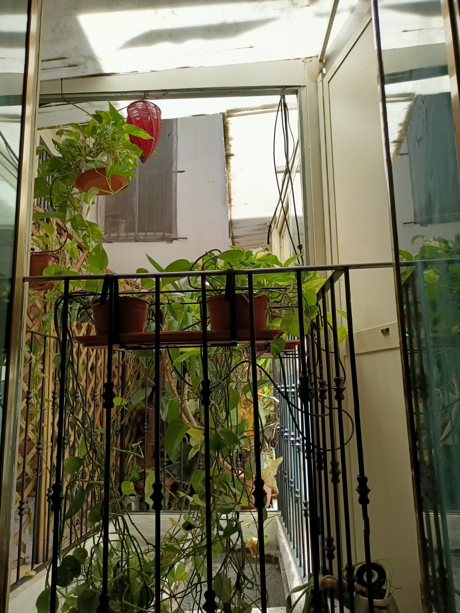 A balcony with potted plants, a metal railing, and a view of the outside.