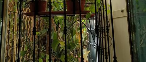 A balcony with potted plants, a metal railing, and a view of the outside.