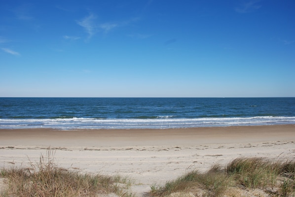 A beach with clear skies and calm waves.