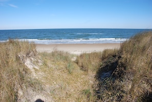 On the beach