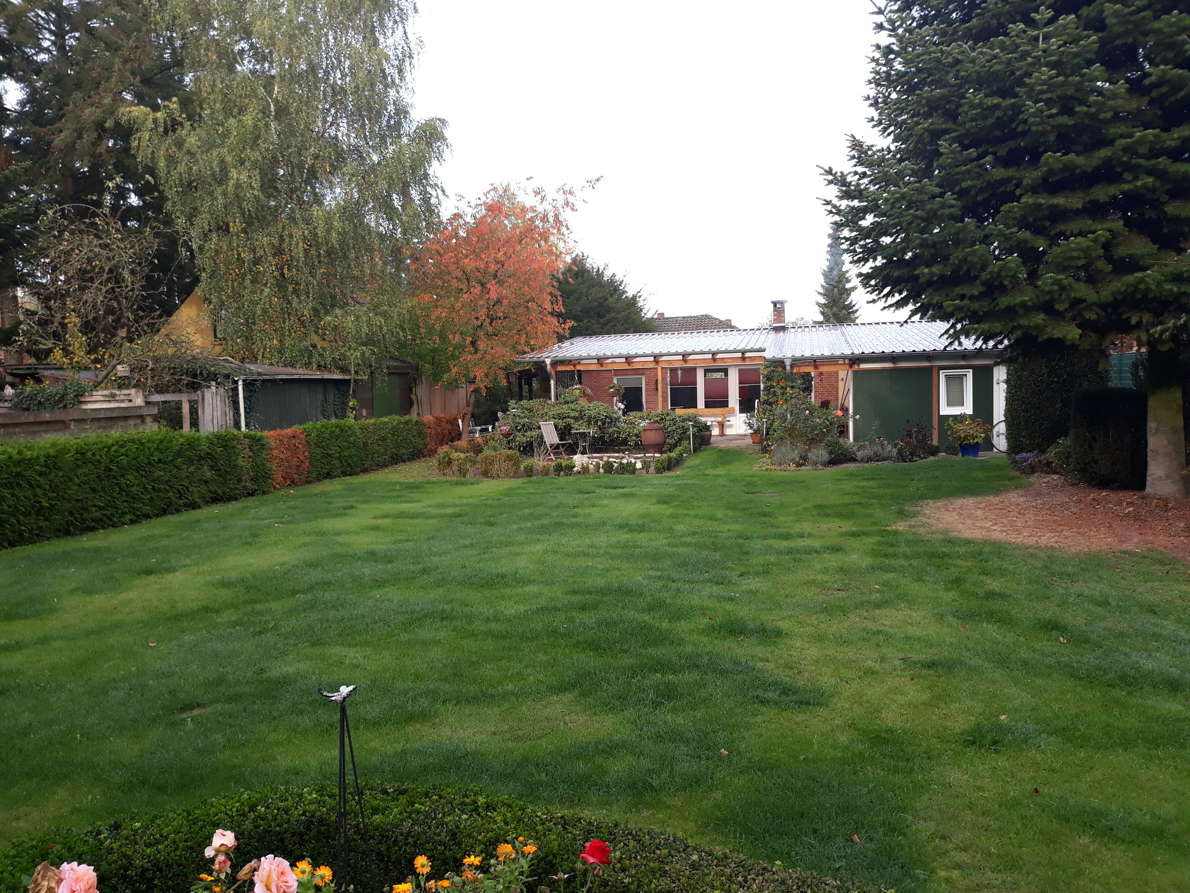 المنطقة المحيطة بالمنشأة