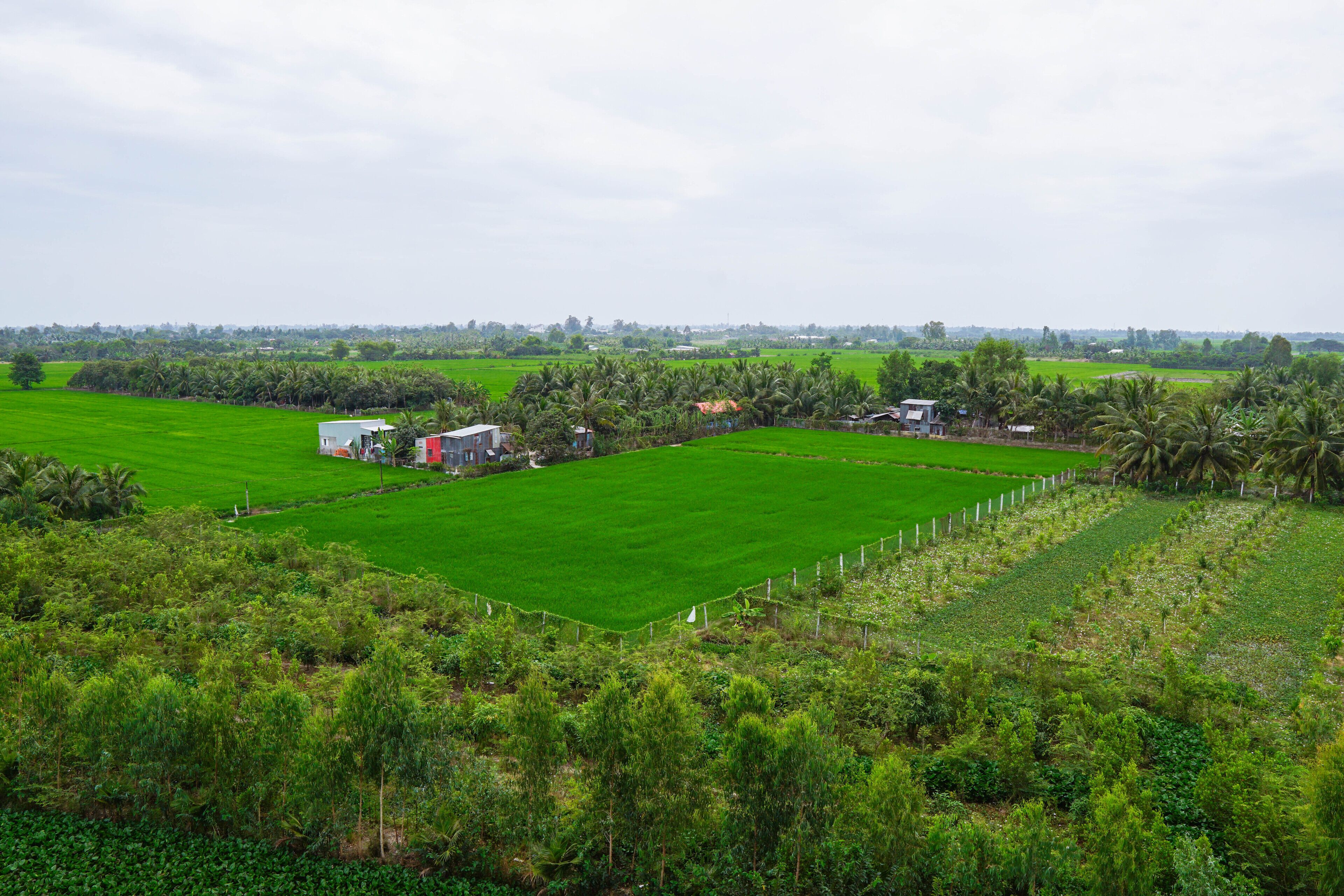 A rural landscape with green fields, a few buildings, and a fence.