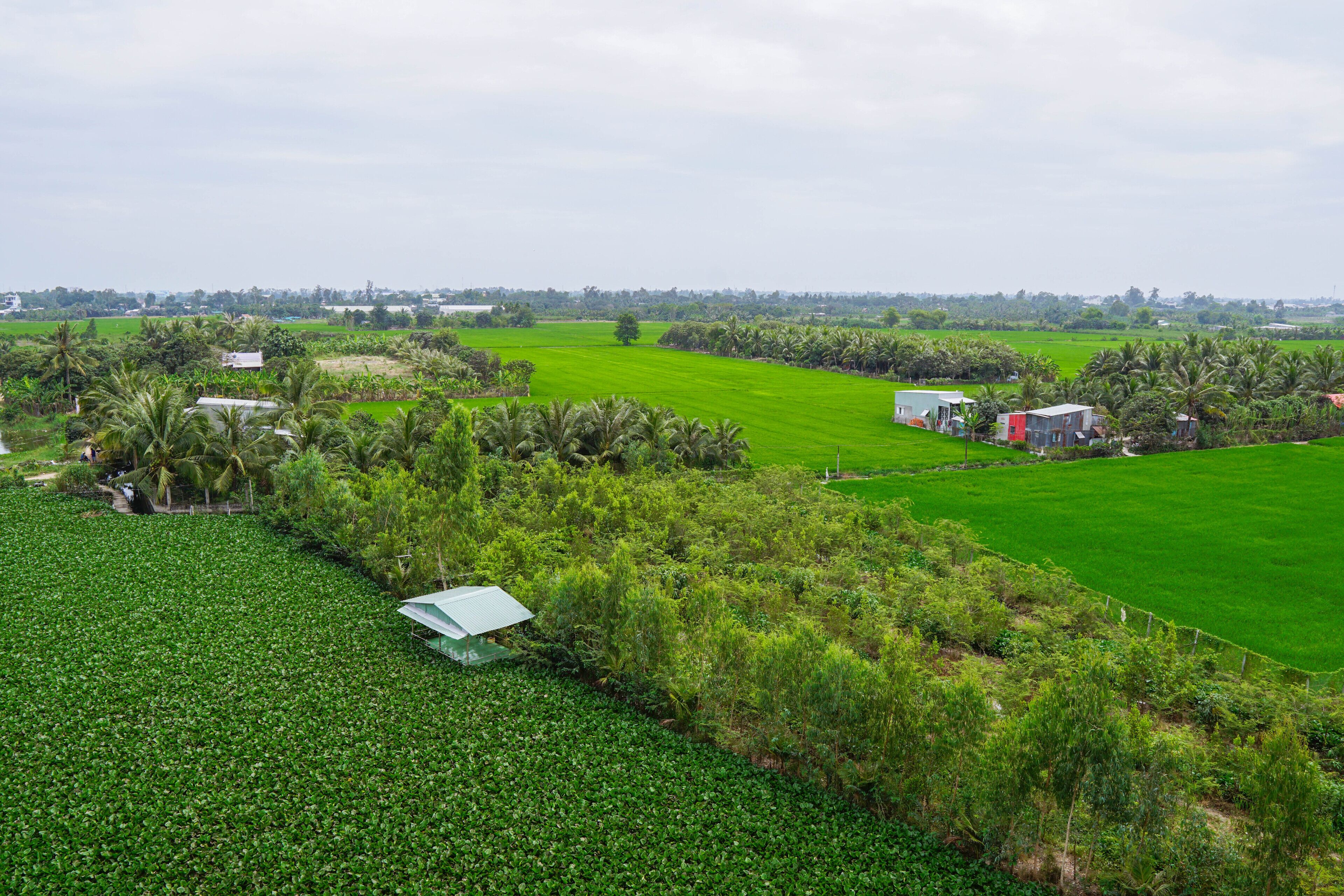 A rural landscape with green fields, a few houses, and scattered trees.