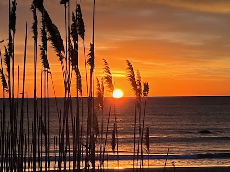 Beach nearby, sun-loungers, beach towels. Across-Scarborough beach, AC, ocean views, big yard, Narragansett, beach items
