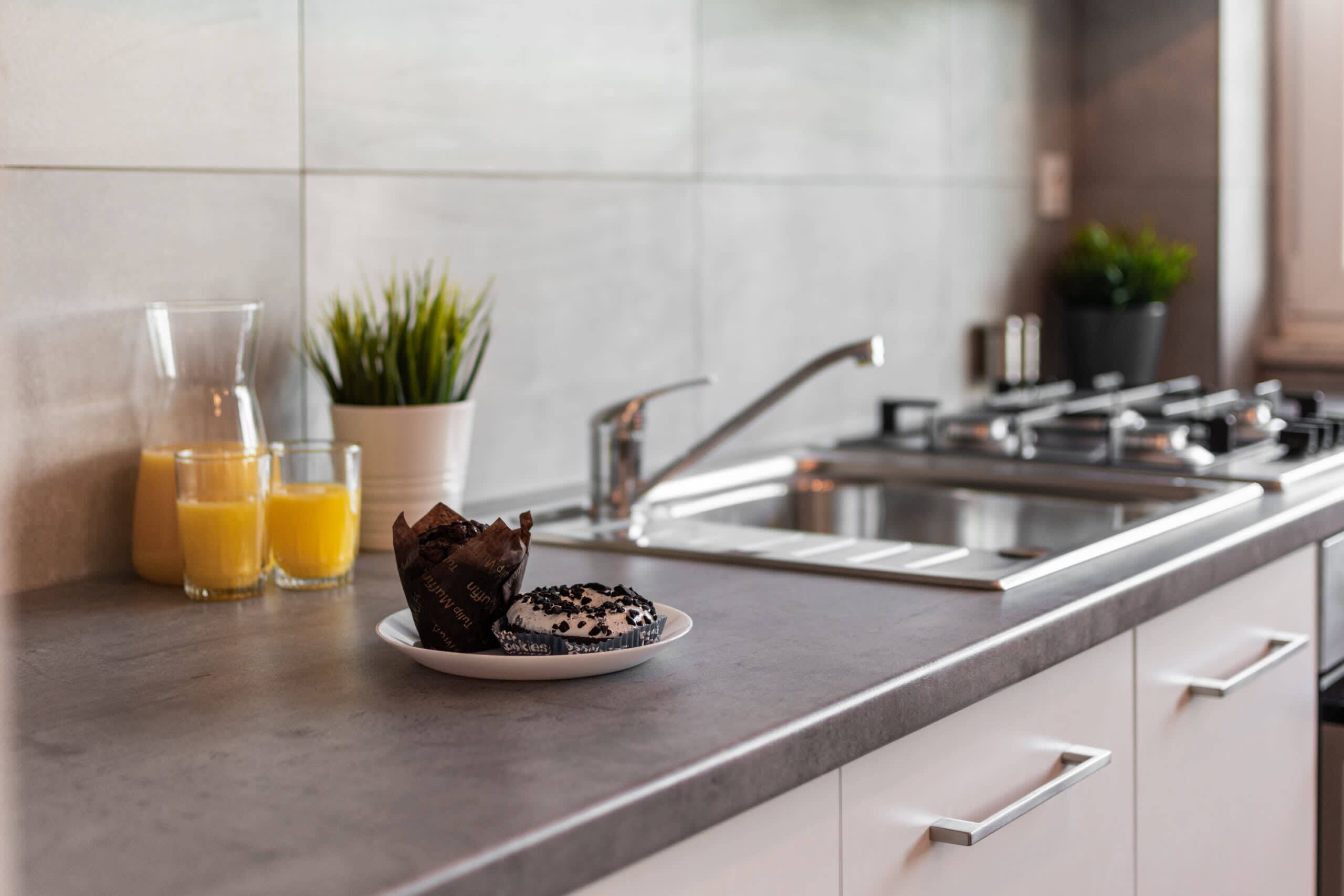 Fridge, oven, stovetop, dishwasher