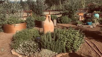 Àrea exterior de l'allotjament