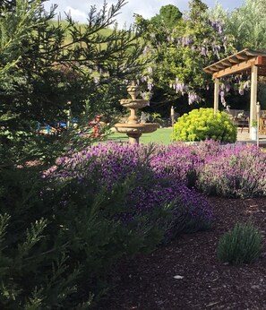 Áreas de la propiedad