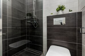 Douche, séchoir à cheveux, serviettes fournies