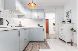 Fridge, stovetop, cookware/dishes/utensils