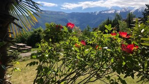 Ein Garten mit roten Blumen und Bergblick im Hintergrund.