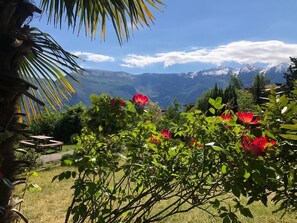 View of the communal garden with picninc area