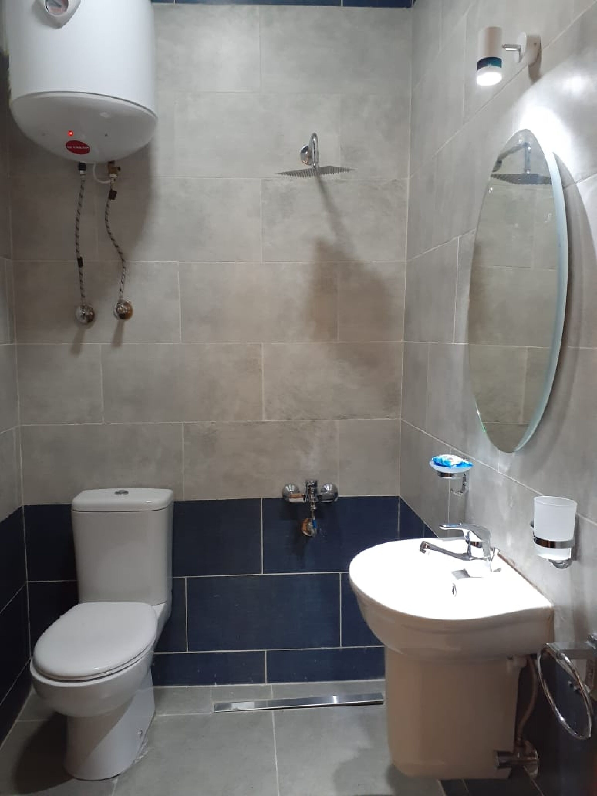 Un baño con inodoro, lavabo y ducha.