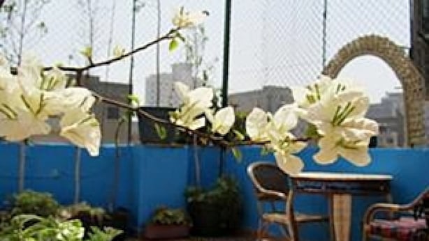 A terrace with white flowers, a table, chairs, and a blue wall. - Sydna All Hussain Hotel (Cairo)