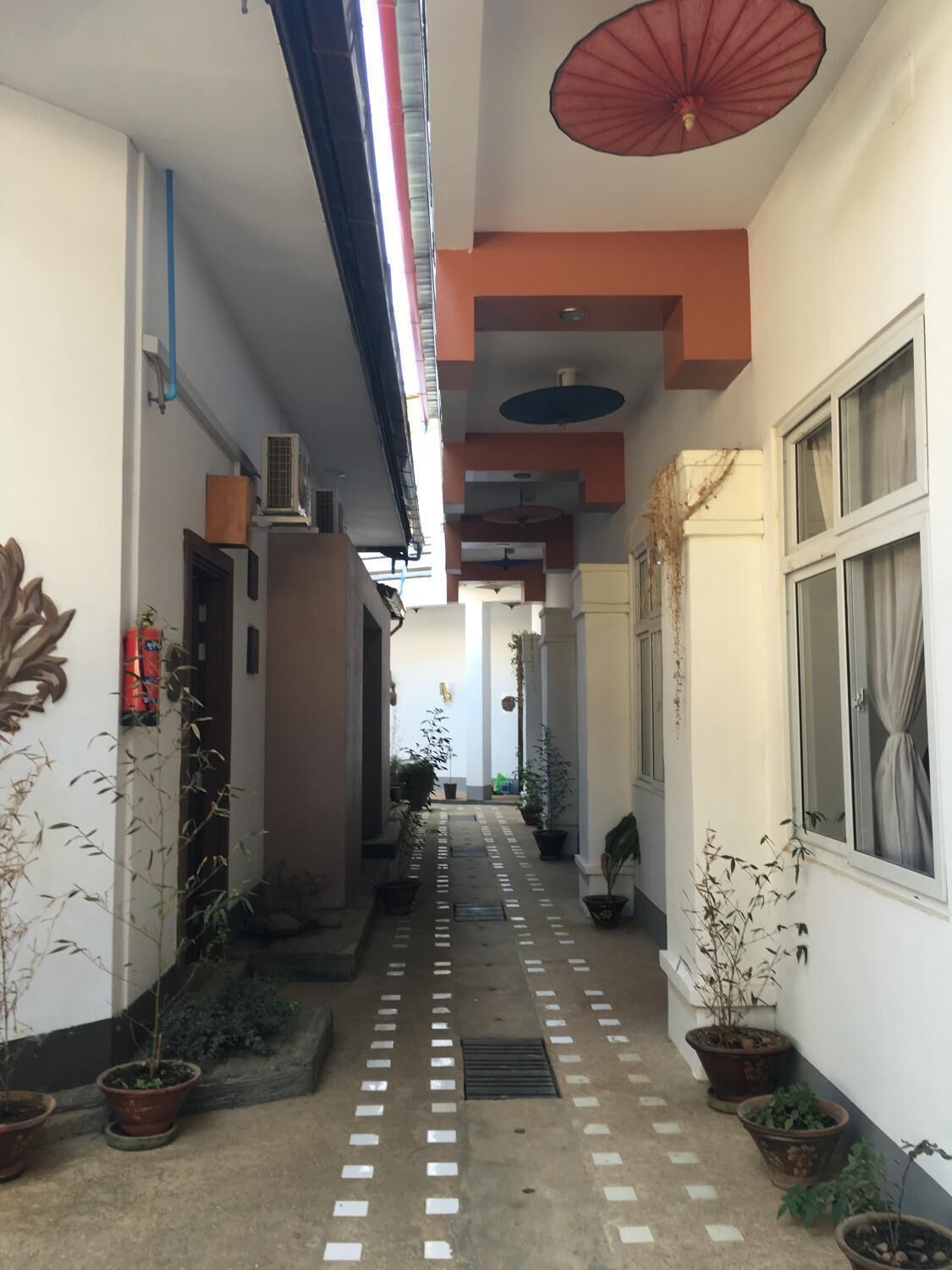 A narrow corridor with potted plants, a red umbrella, and a ceiling with multiple light fixtures.