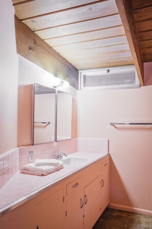 Shower, hair dryer, towels, soap - The Historic Ball-Paylore House: Landmark of Modernist Architecture and Design (Tucson)