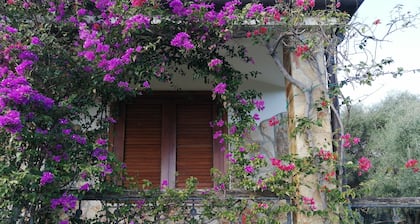 Ihre Villa am Meer