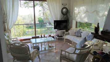 Télévision, cheminée, livres