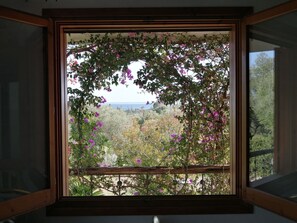 Una ventana con vista a un jardín y un cuerpo de agua.