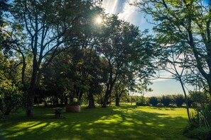 A park with trees, grass, and a bench.