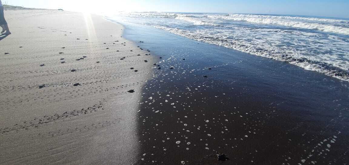 Playa privada, playa de arena negra, sombrillas y toallas de playa 