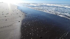 A beach with footprints and waves. - Hidden Paradise Beach Jiote (Moyuta)