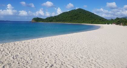 Sailors Gem II: Experience Caribbean Life at this Spacious Apartment!