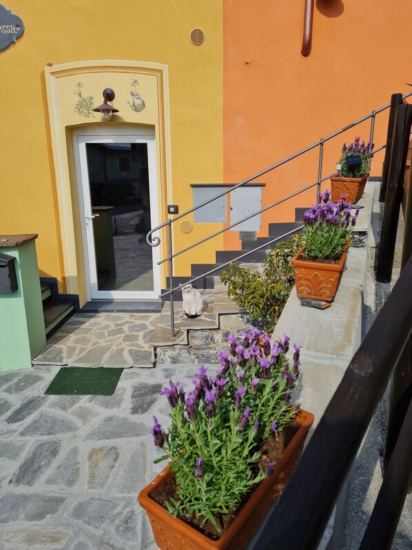 A staircase with potted lavender plants, a door with a decorative sign, and a metal railing.