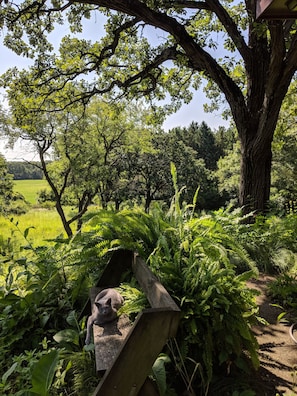 A garden with a wooden bench, a cat statue, and lush greenery.
