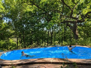 A swimming pool surrounded by lush greenery. - 77 Acre Private Sanctuary near Kettle Moraine Trails, Alpine Valley & History. (Eagle)