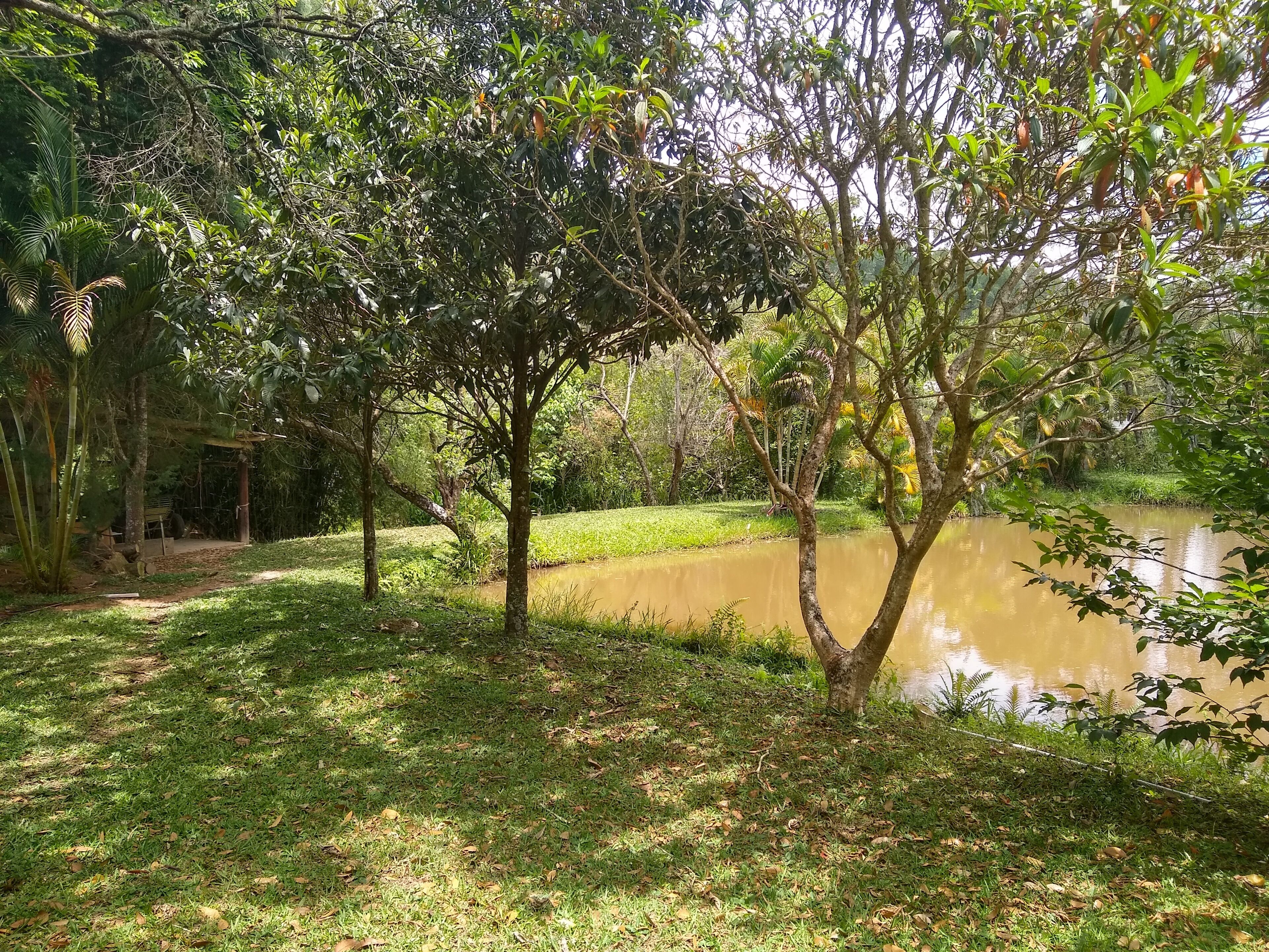 Un paysage naturel avec un étang entouré d’arbres et d’herbe.