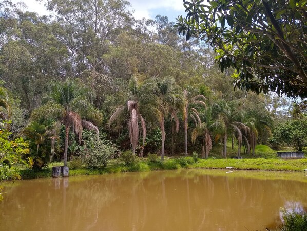 Property grounds - BEAUTIFUL SITE "HAPPY DAYS" in the Mountain Valley (Santa Isabel)