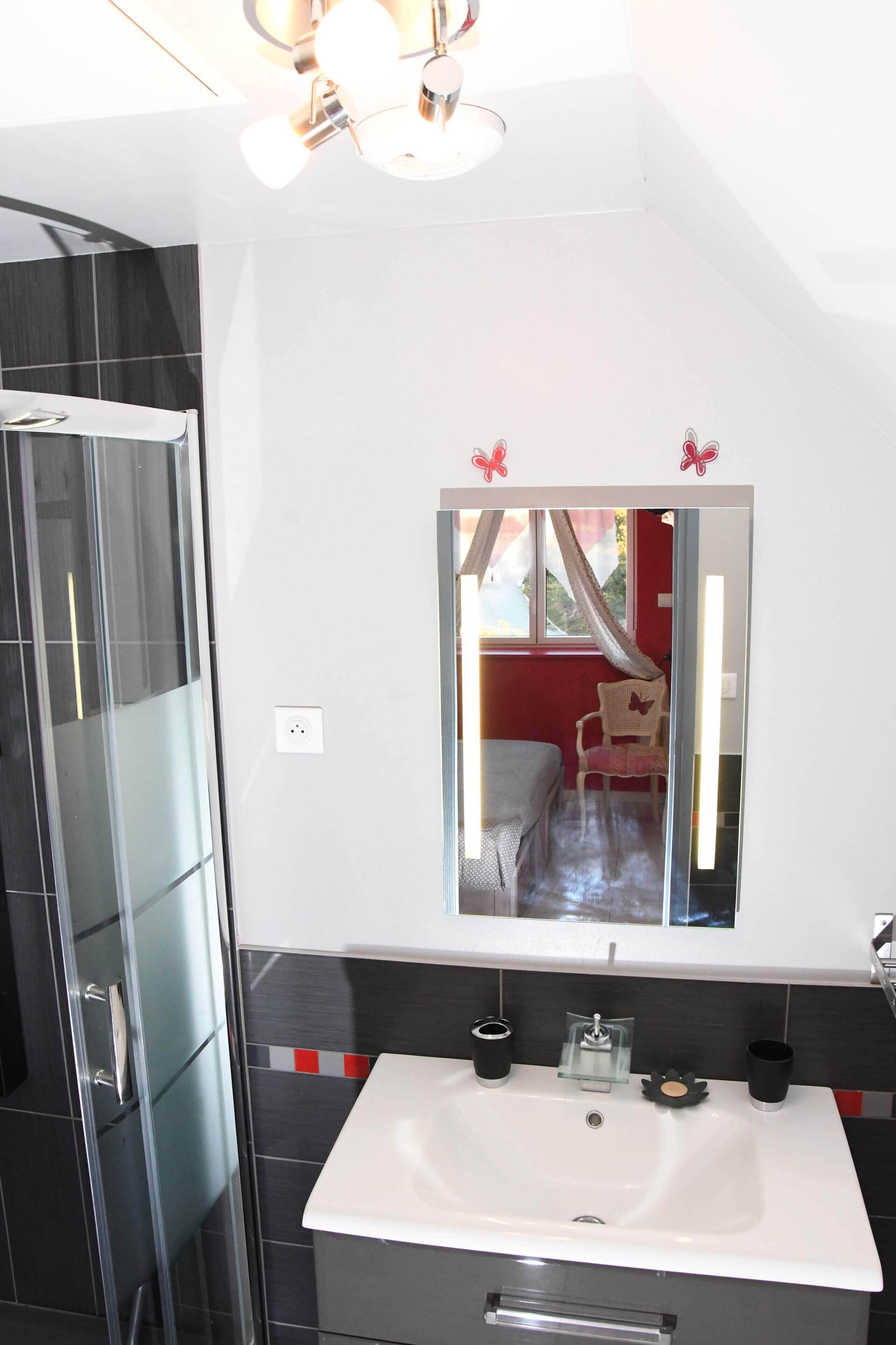 Shower, hair dryer, towels, toilet paper