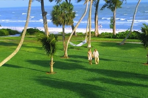 Relax in a serene outdoor space surrounded by lush greenery and the soothing sounds of the ocean.
