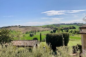 Property grounds - S214 - Sirolo, three-room apartment with garden in a quiet area (Sirolo)